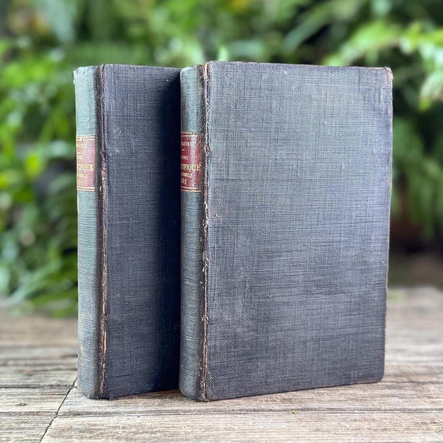 Antique Black French Book Set of Two L'Année Scientifique et Industrielle, 1882 and 1889 - Pretty Old Books