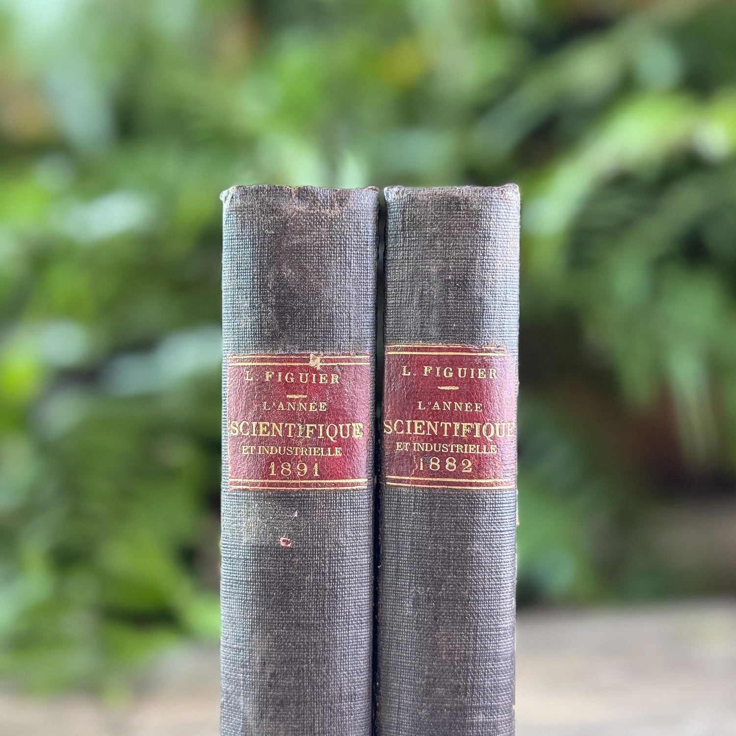 Antique Black French Book Set of Two L'Année Scientifique et Industrielle, 1882 and 1889 - Pretty Old Books