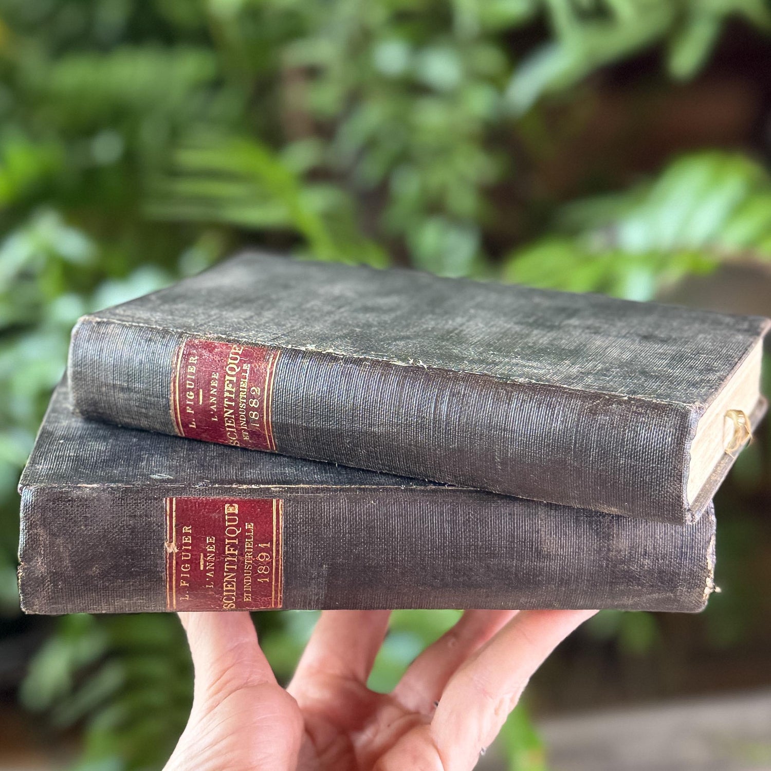 Antique Black French Book Set of Two L'Année Scientifique et Industrielle, 1882 and 1889 - Pretty Old Books