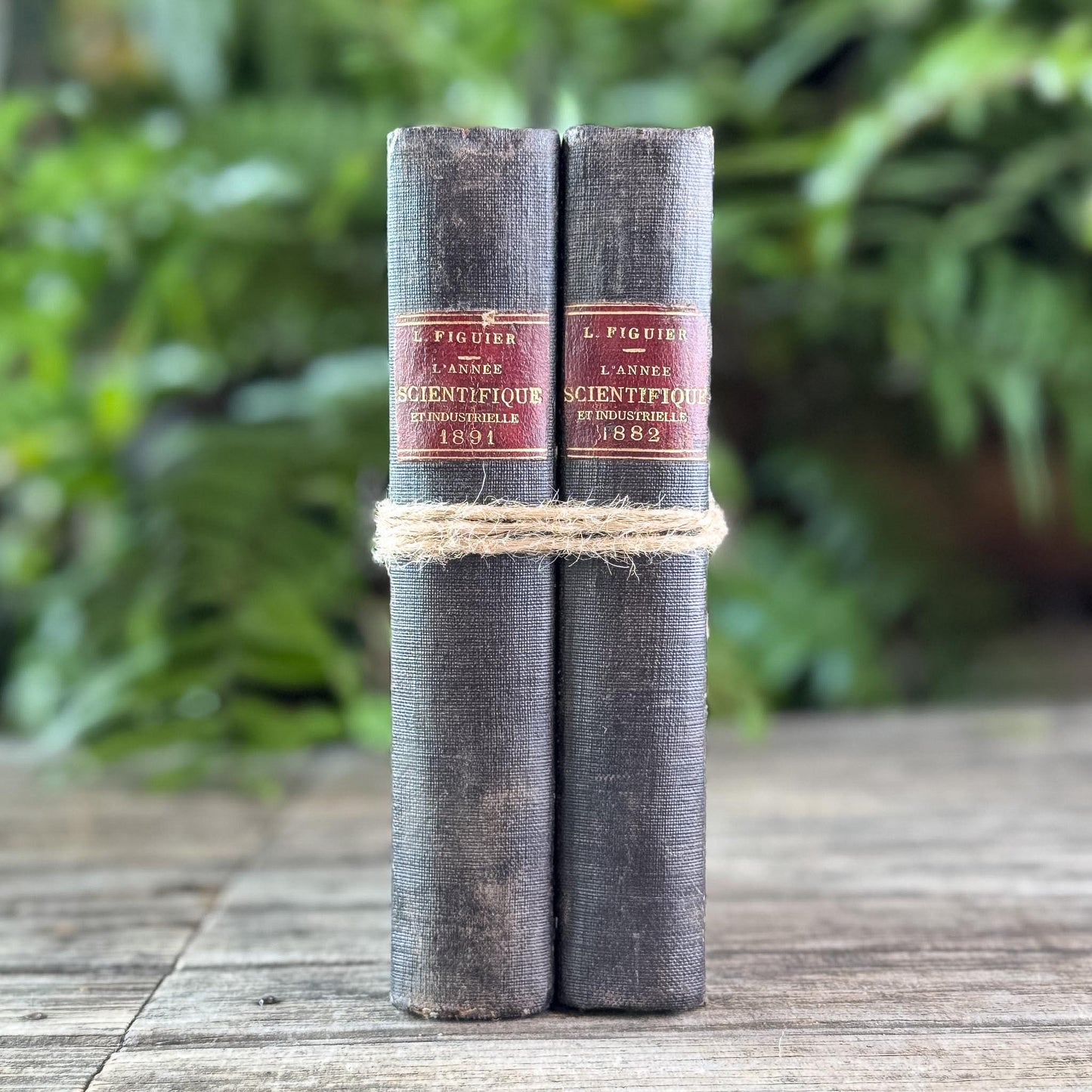 Antique Black French Book Set of Two L'Année Scientifique et Industrielle, 1882 and 1889 - Pretty Old Books