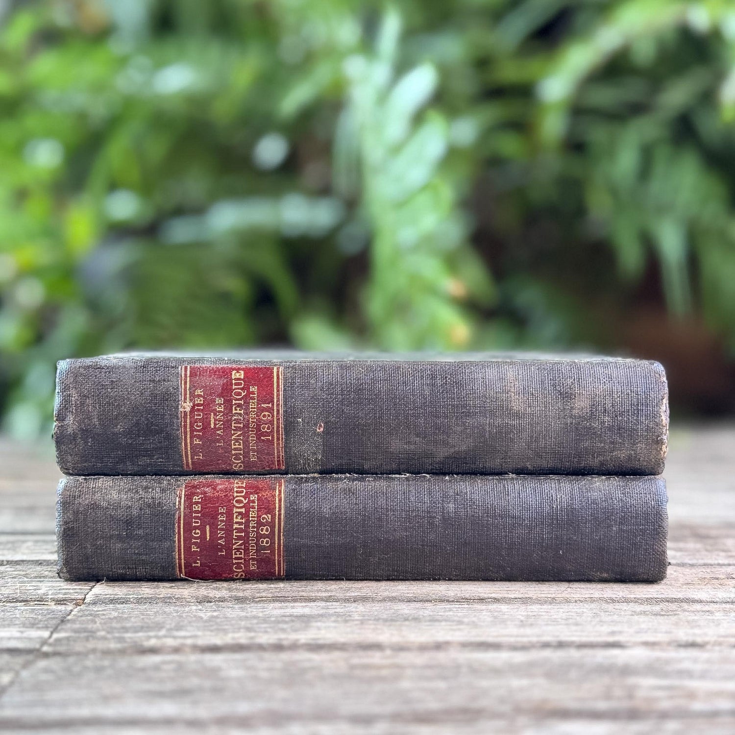 Antique Black French Book Set of Two L'Année Scientifique et Industrielle, 1882 and 1889 - Pretty Old Books