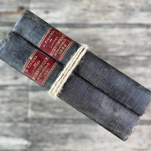 Antique Black French Book Set of Two L'Année Scientifique et Industrielle, 1882 and 1889 - Pretty Old Books