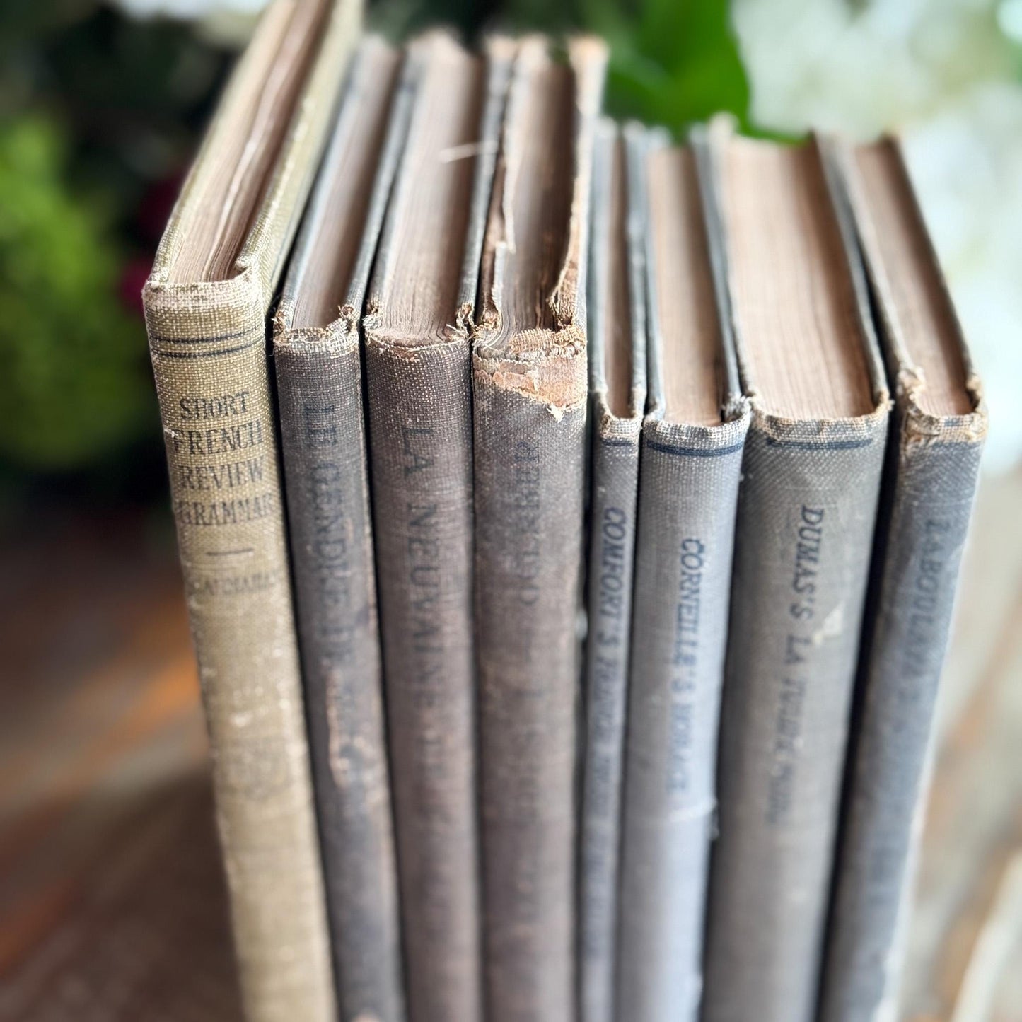 Antique Blue and Green French School Book Bundle For Decor - Pretty Old Books