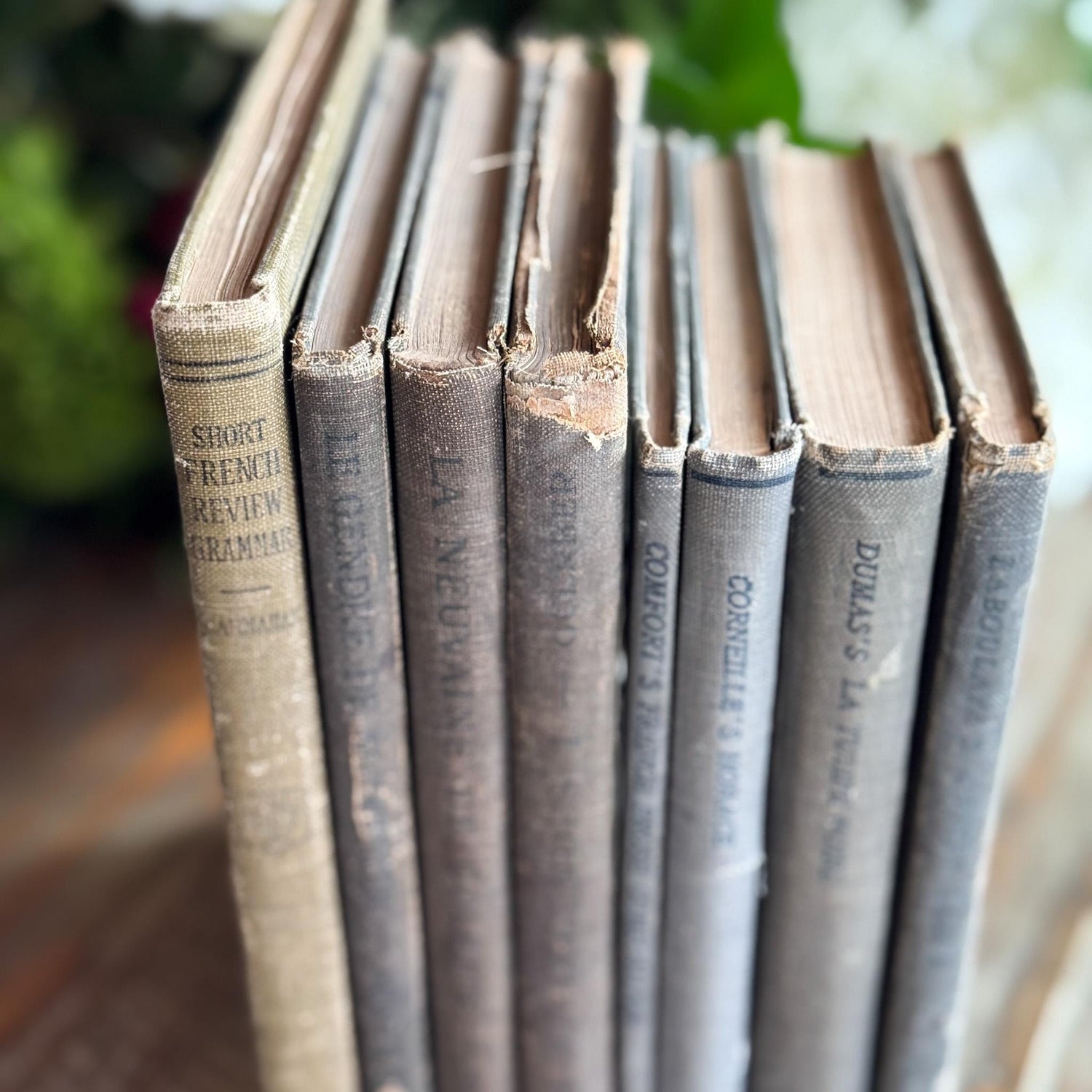 Antique Blue and Green French School Book Bundle For Decor - Pretty Old Books