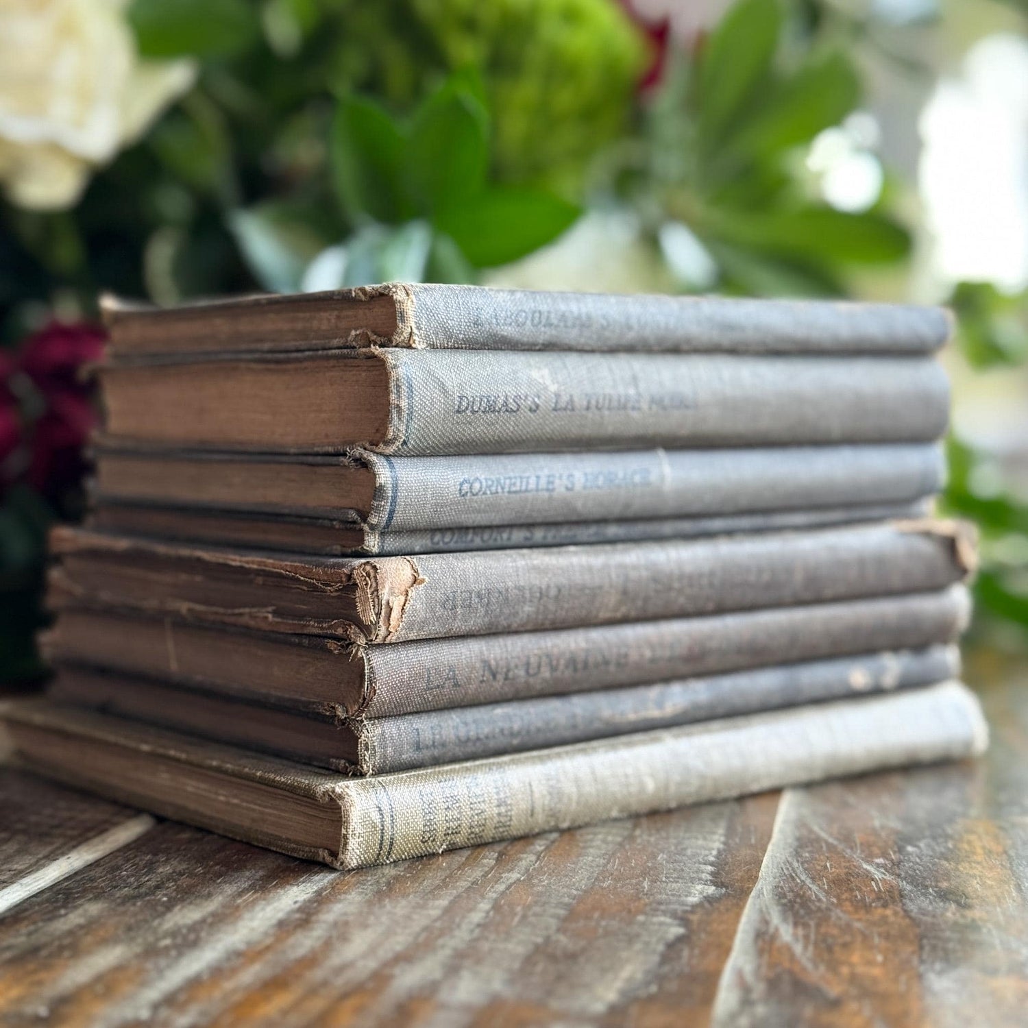 Antique Blue and Green French School Book Bundle For Decor - Pretty Old Books