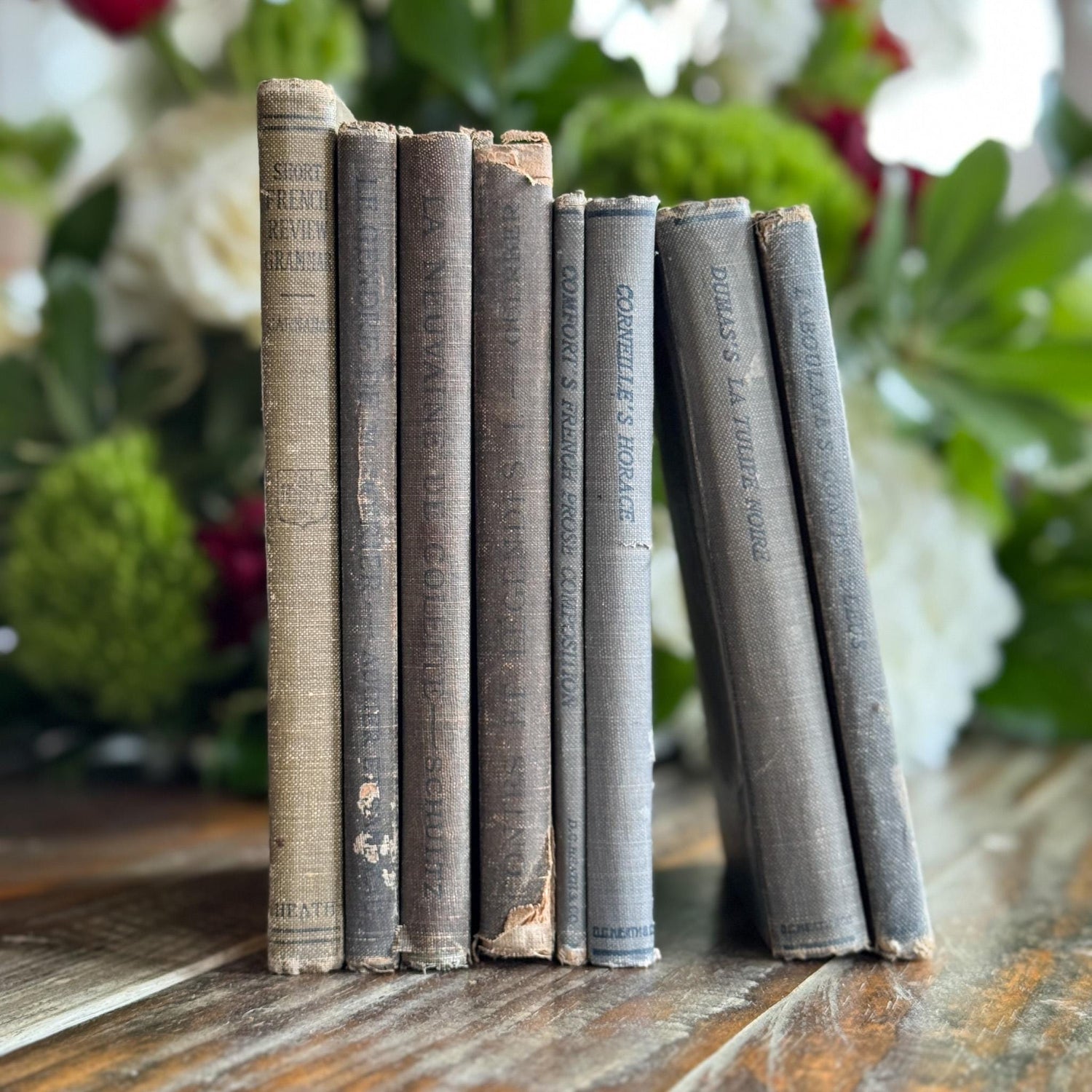 Antique Blue and Green French School Book Bundle For Decor - Pretty Old Books