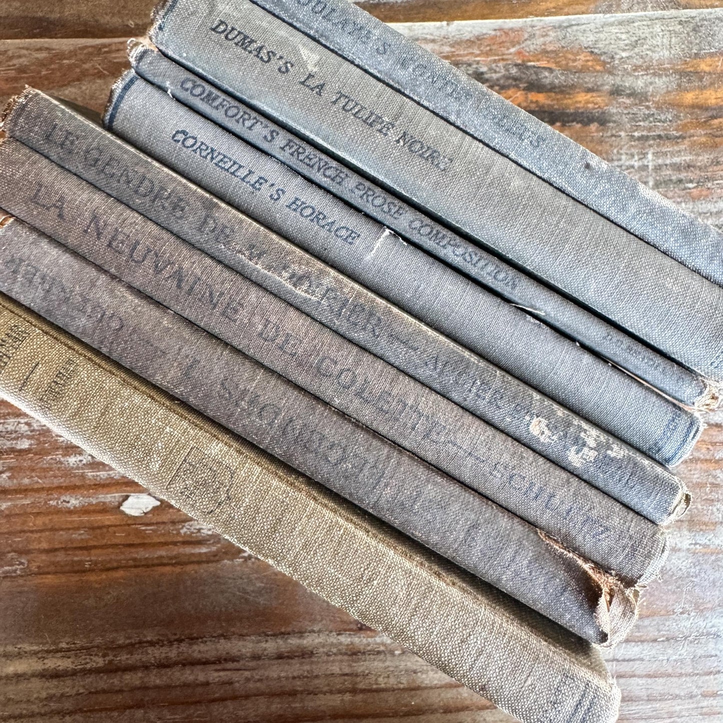 Antique Blue and Green French School Book Bundle For Decor - Pretty Old Books