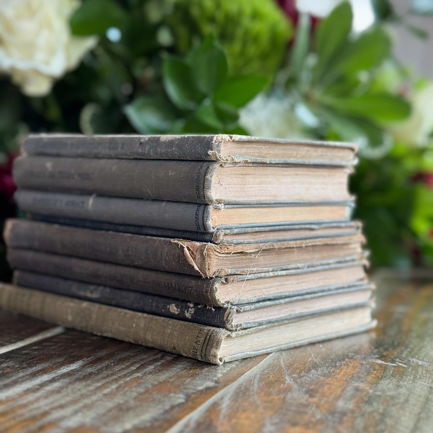 Antique Blue and Green French School Book Bundle For Decor - Pretty Old Books