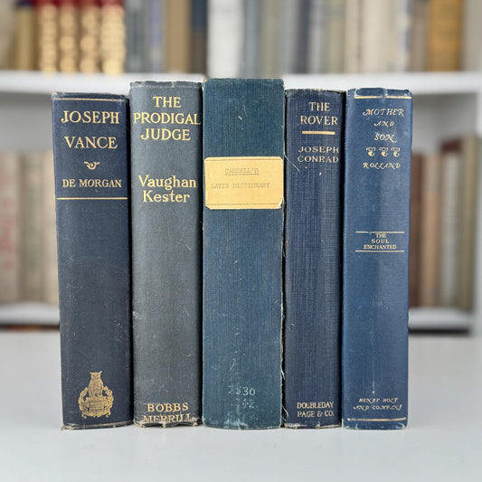 Antique Blue Book Set for Shelf Styling, Denim Blue Vintage Book Bundle - Pretty Old Books
