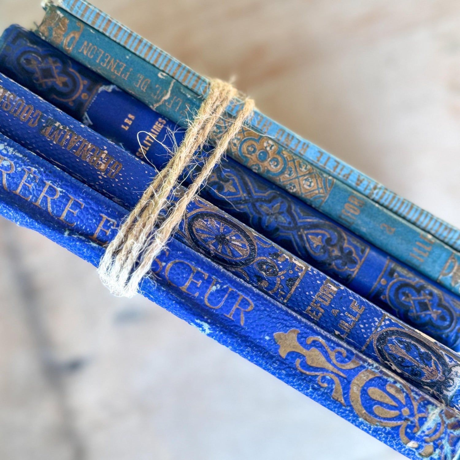 Antique Blue Gilt Decorative 1800s French Book Bundle - Pretty Old Books