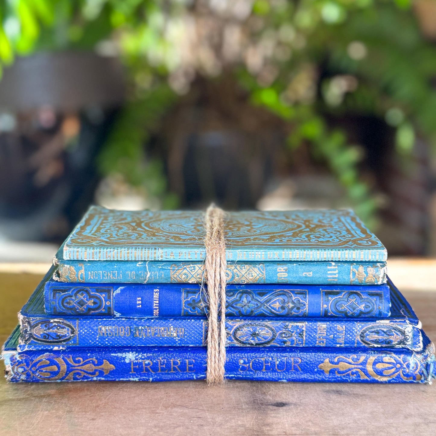 Antique Blue Gilt Decorative 1800s French Book Bundle - Pretty Old Books
