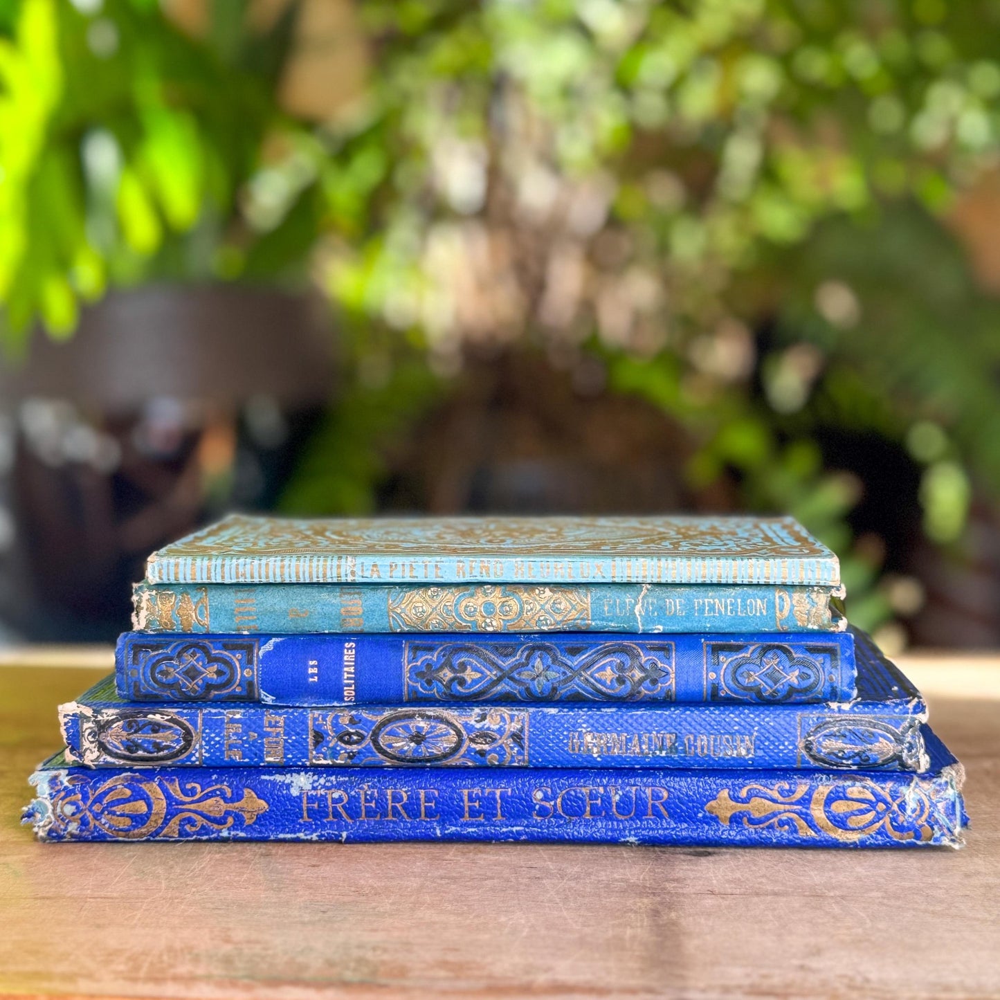 Antique Blue Gilt Decorative 1800s French Book Bundle - Pretty Old Books