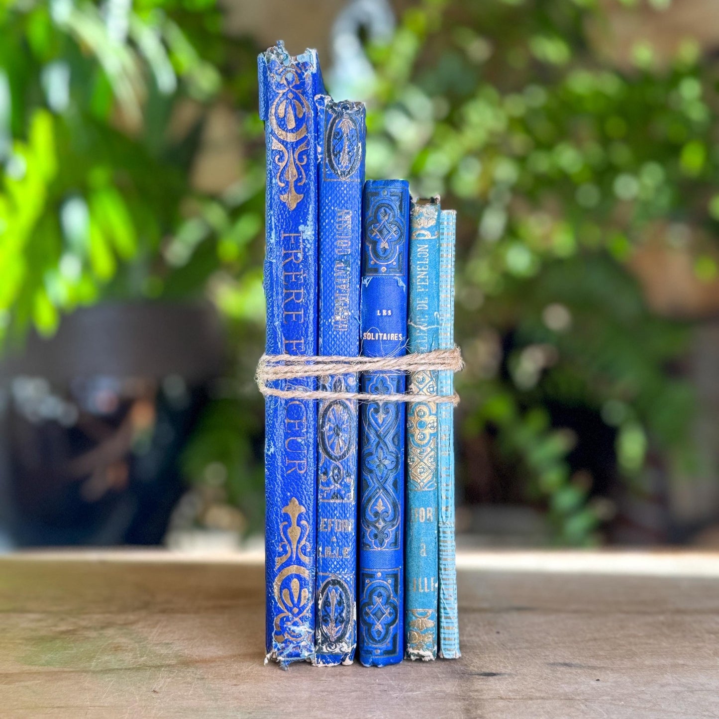 Antique Blue Gilt Decorative 1800s French Book Bundle - Pretty Old Books