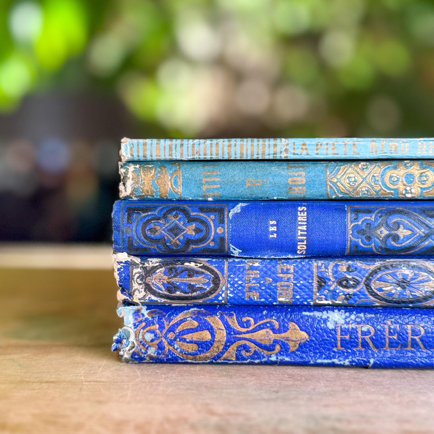 Antique Blue Gilt Decorative 1800s French Book Bundle - Pretty Old Books