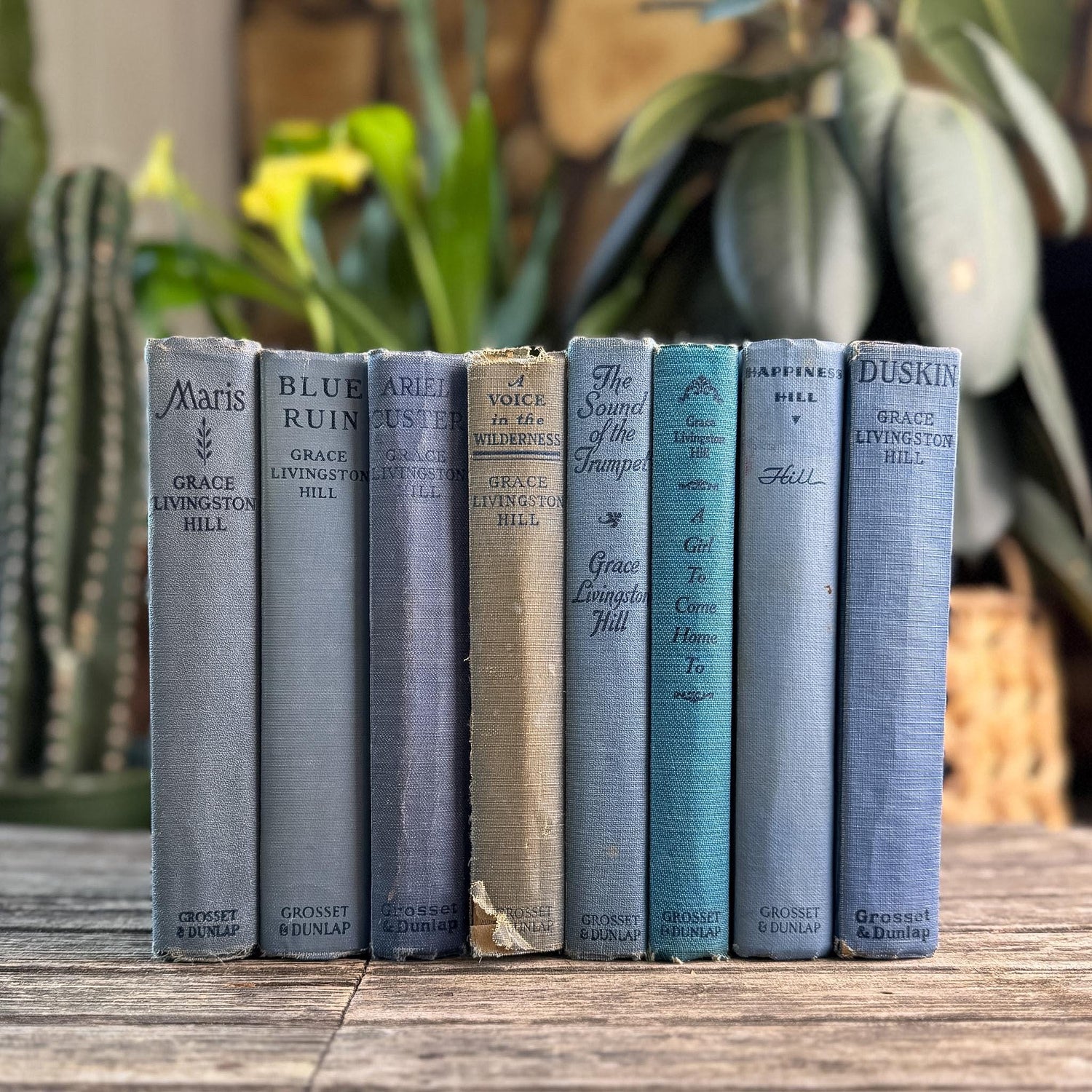 Antique Blue Grace Livingston Hill Book Bundle - Pretty Old Books