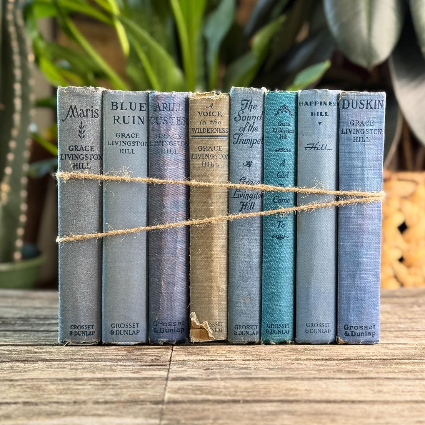 Antique Blue Grace Livingston Hill Book Bundle - Pretty Old Books