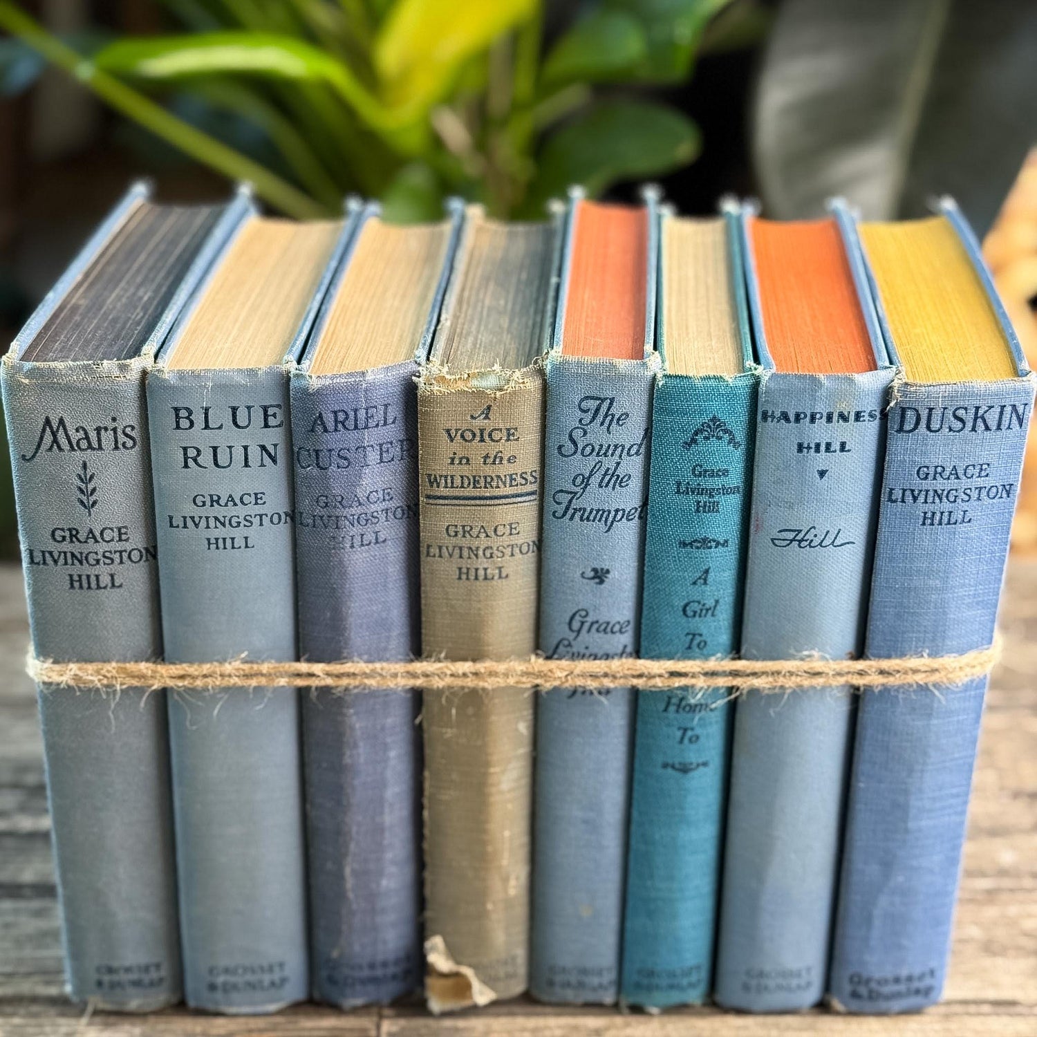 Antique Blue Grace Livingston Hill Book Bundle - Pretty Old Books