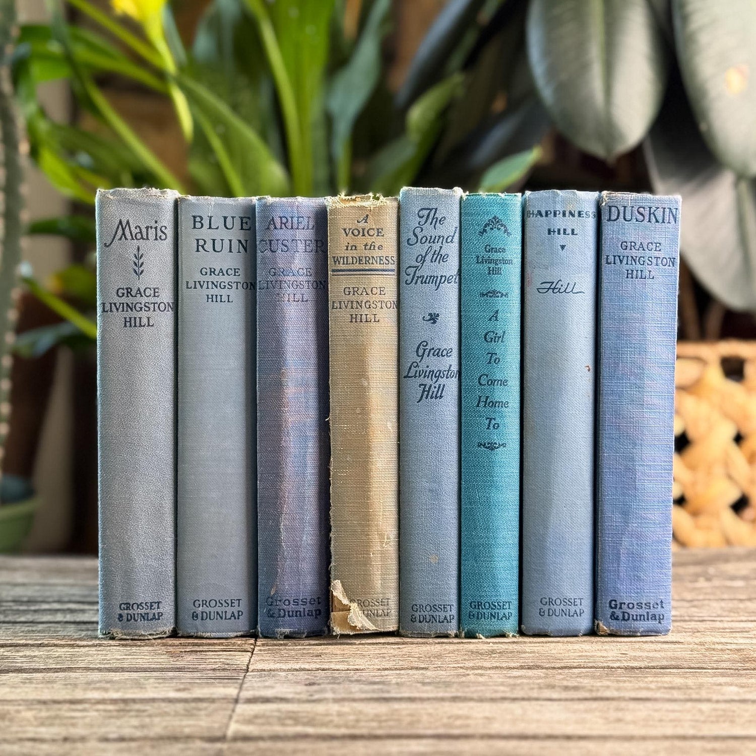 Antique Blue Grace Livingston Hill Book Bundle - Pretty Old Books