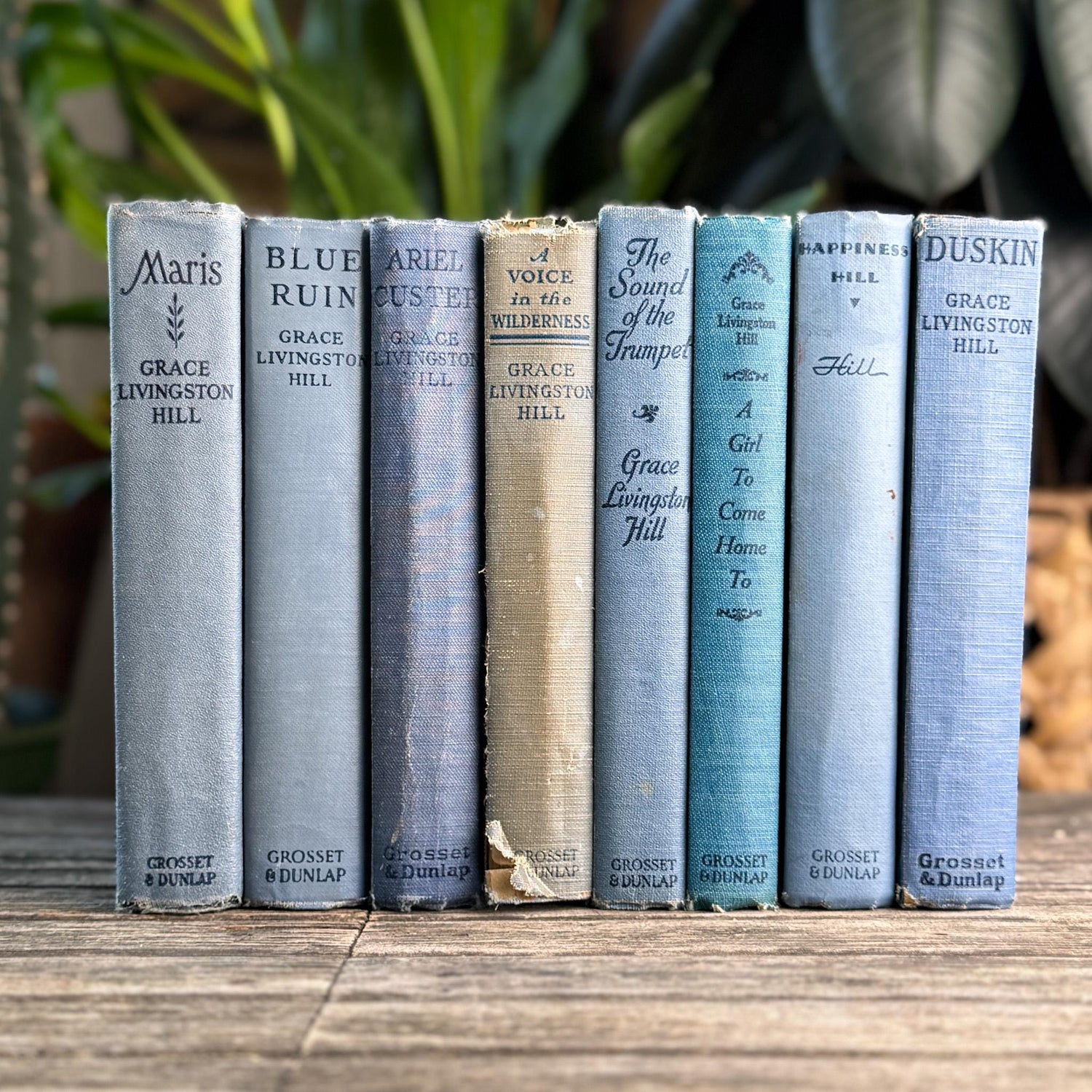 Antique Blue Grace Livingston Hill Book Bundle - Pretty Old Books