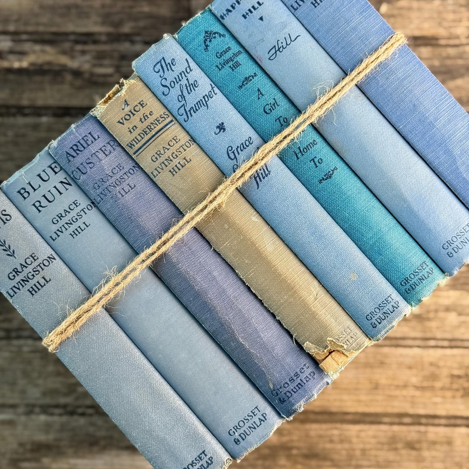 Antique Blue Grace Livingston Hill Book Bundle - Pretty Old Books