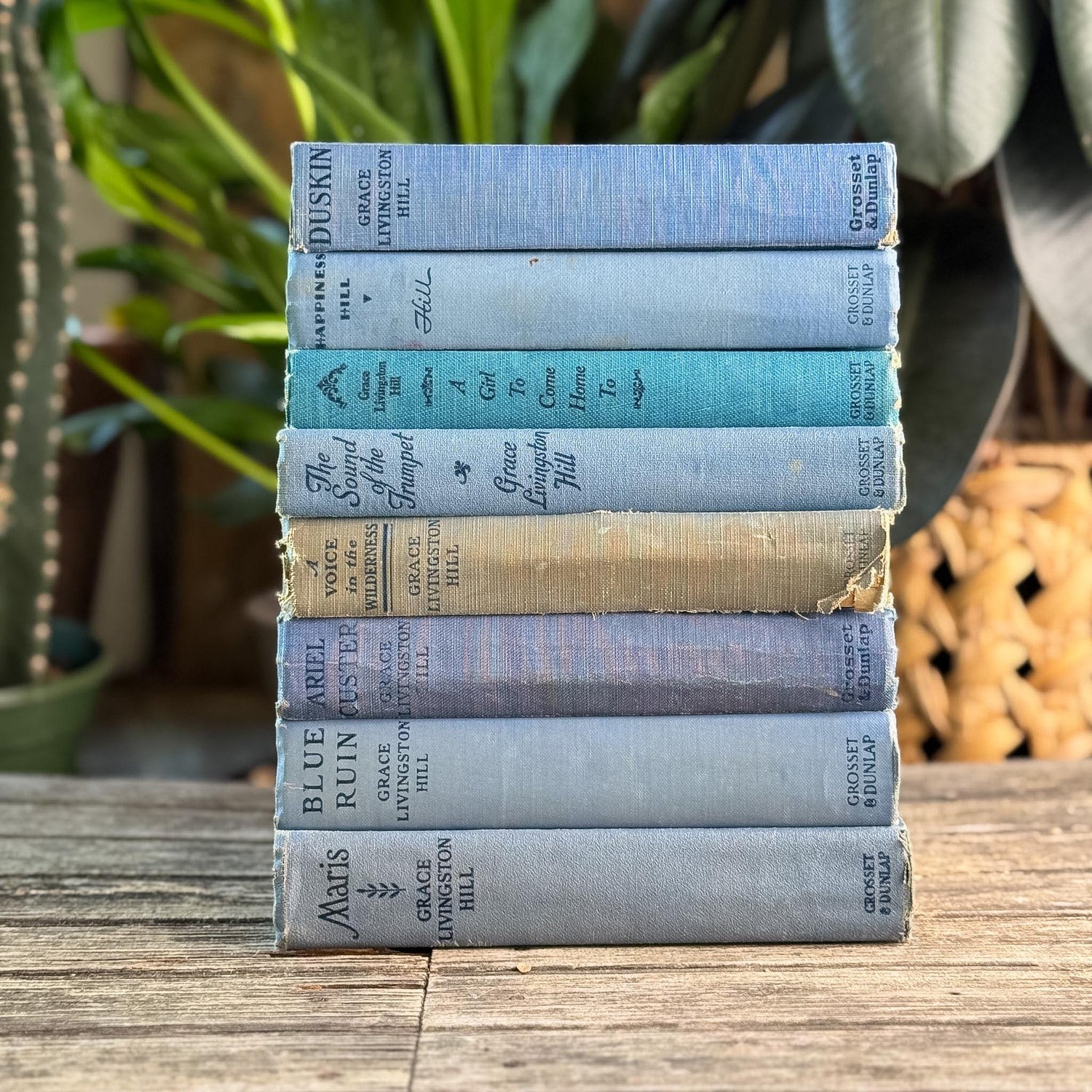 Antique Blue Grace Livingston Hill Book Bundle - Pretty Old Books