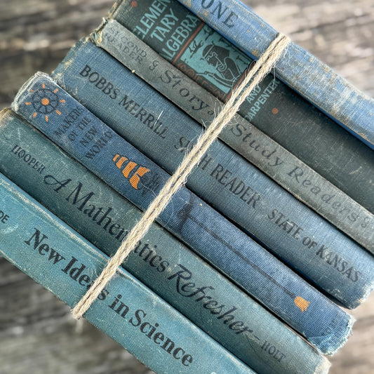 Antique Blue School Book Bundle - Pretty Old Books