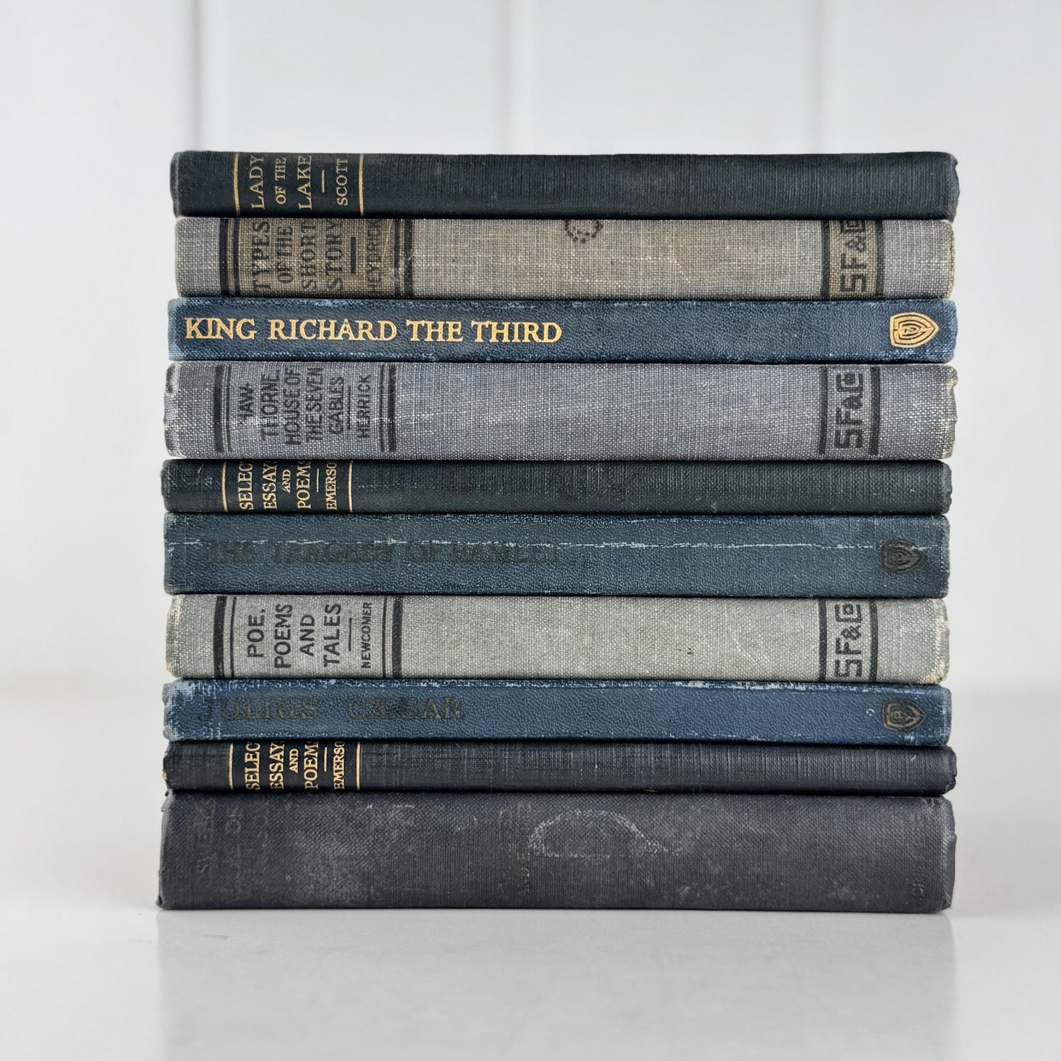 Blue Vintage Book Bundles