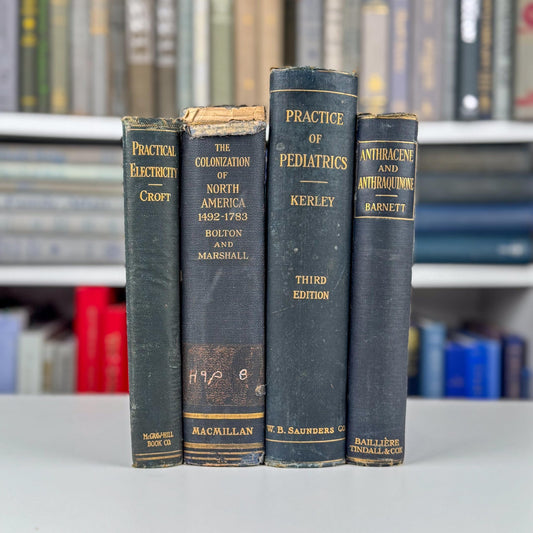 Antique Blue School Book Bundle, School Textbooks, Faded Shabby Books - Pretty Old Books