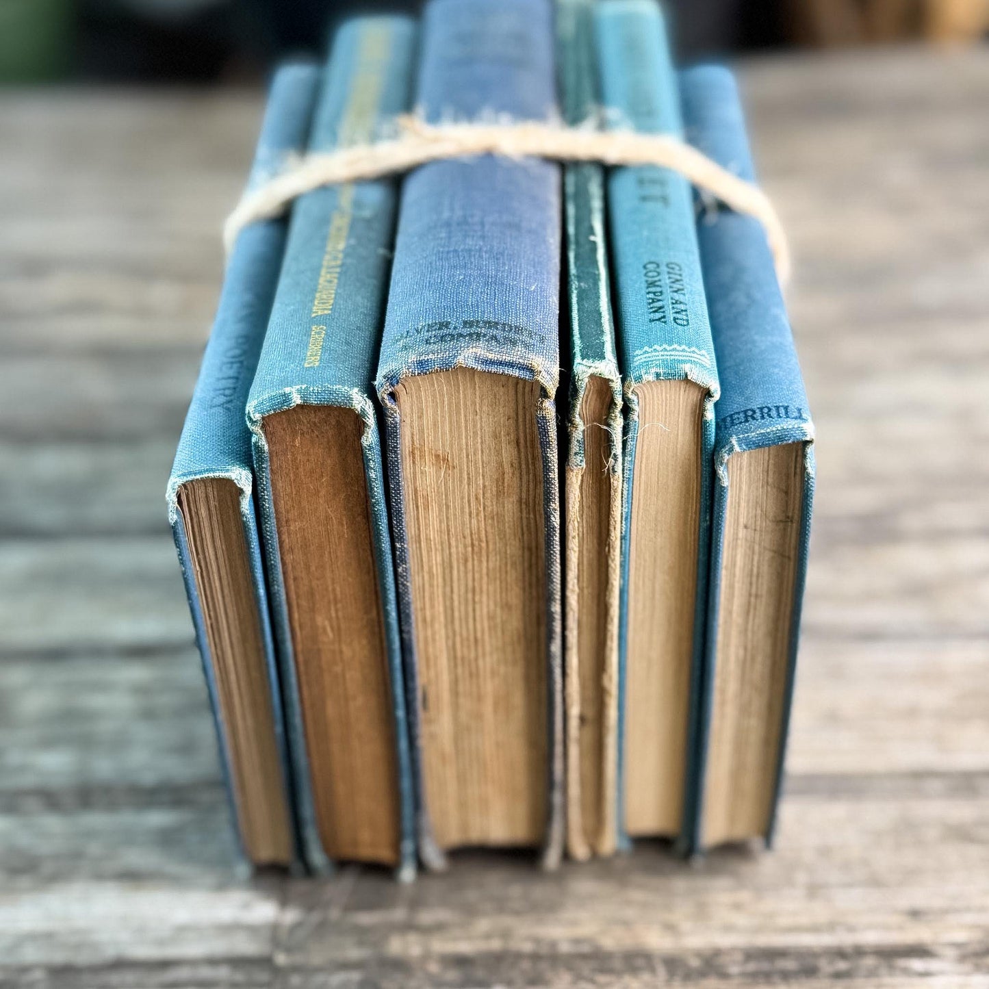Antique Blue Small School Books and Classics For Styling, Tennyson, Shakepeare - Pretty Old Books