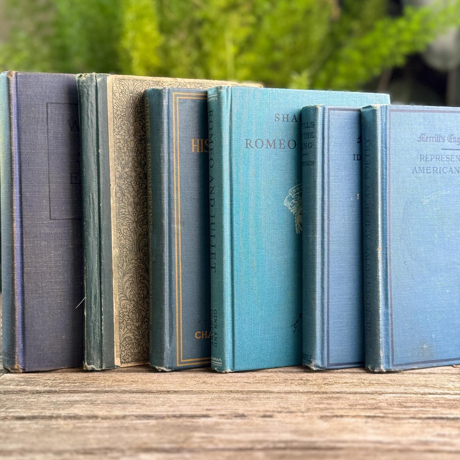 Antique Blue Small School Books and Classics For Styling, Tennyson, Shakepeare - Pretty Old Books