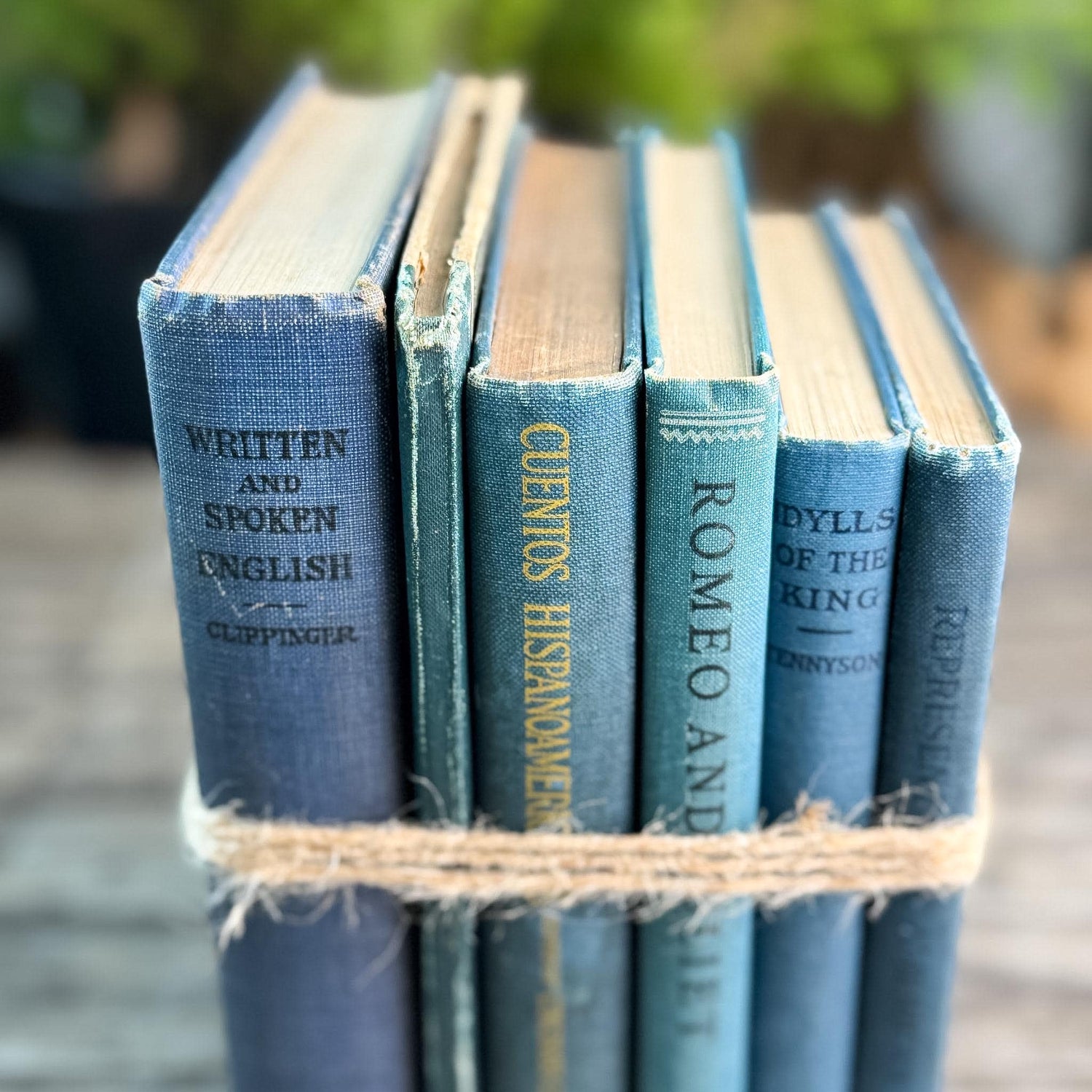 Antique Blue Small School Books and Classics For Styling, Tennyson, Shakepeare - Pretty Old Books