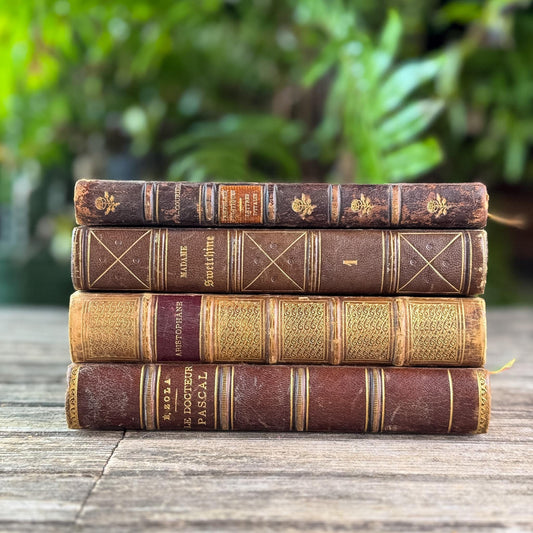 Antique Brown & Gold Ornate French Leather Book Bundle - Pretty Old Books