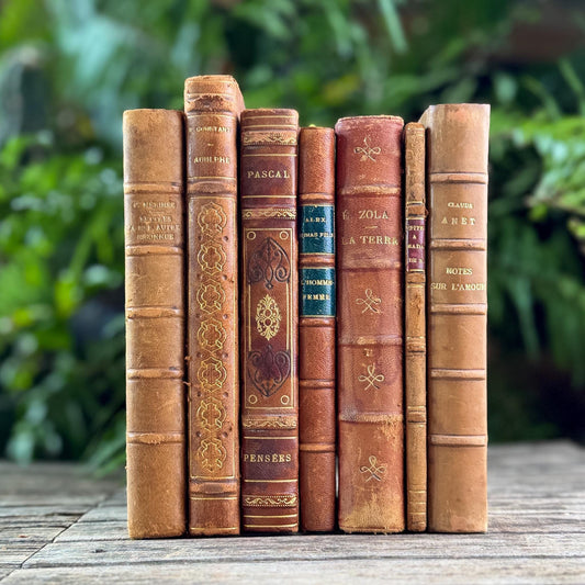 Antique Caramel Tan Leather French Book Set - Pretty Old Books