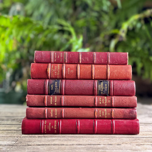 Antique Copper, Brown, and Red French Leather Book Bundle - Pretty Old Books