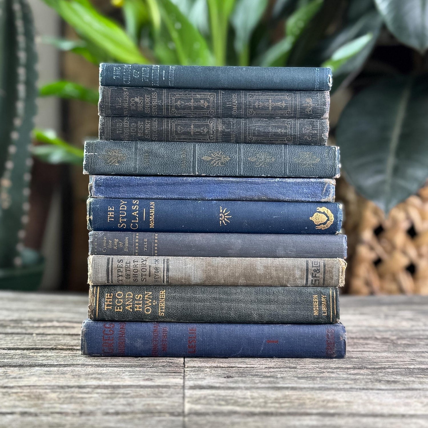 Antique Dark Blue Small Book Bundle of Literary & Academic Classics - Pretty Old Books