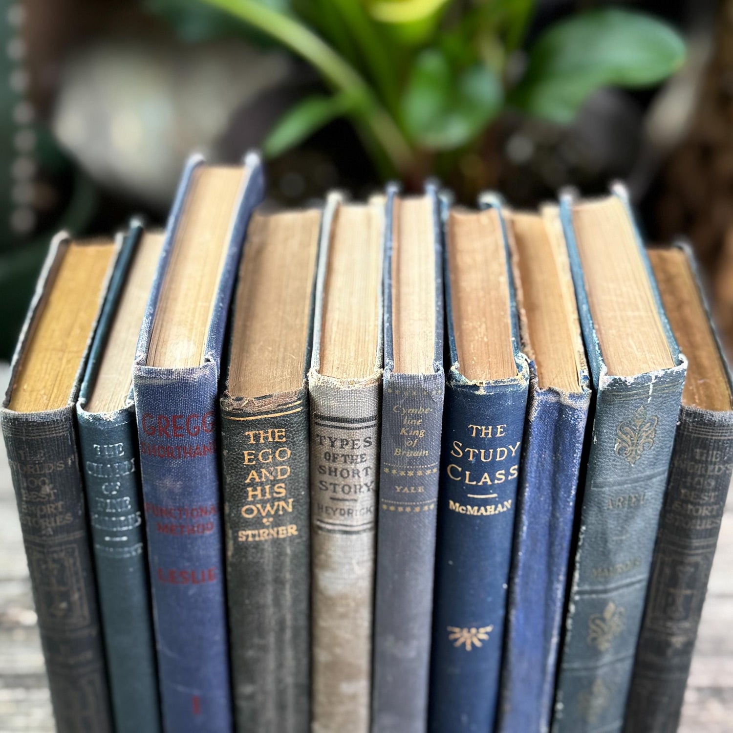 Antique Dark Blue Small Book Bundle of Literary & Academic Classics - Pretty Old Books