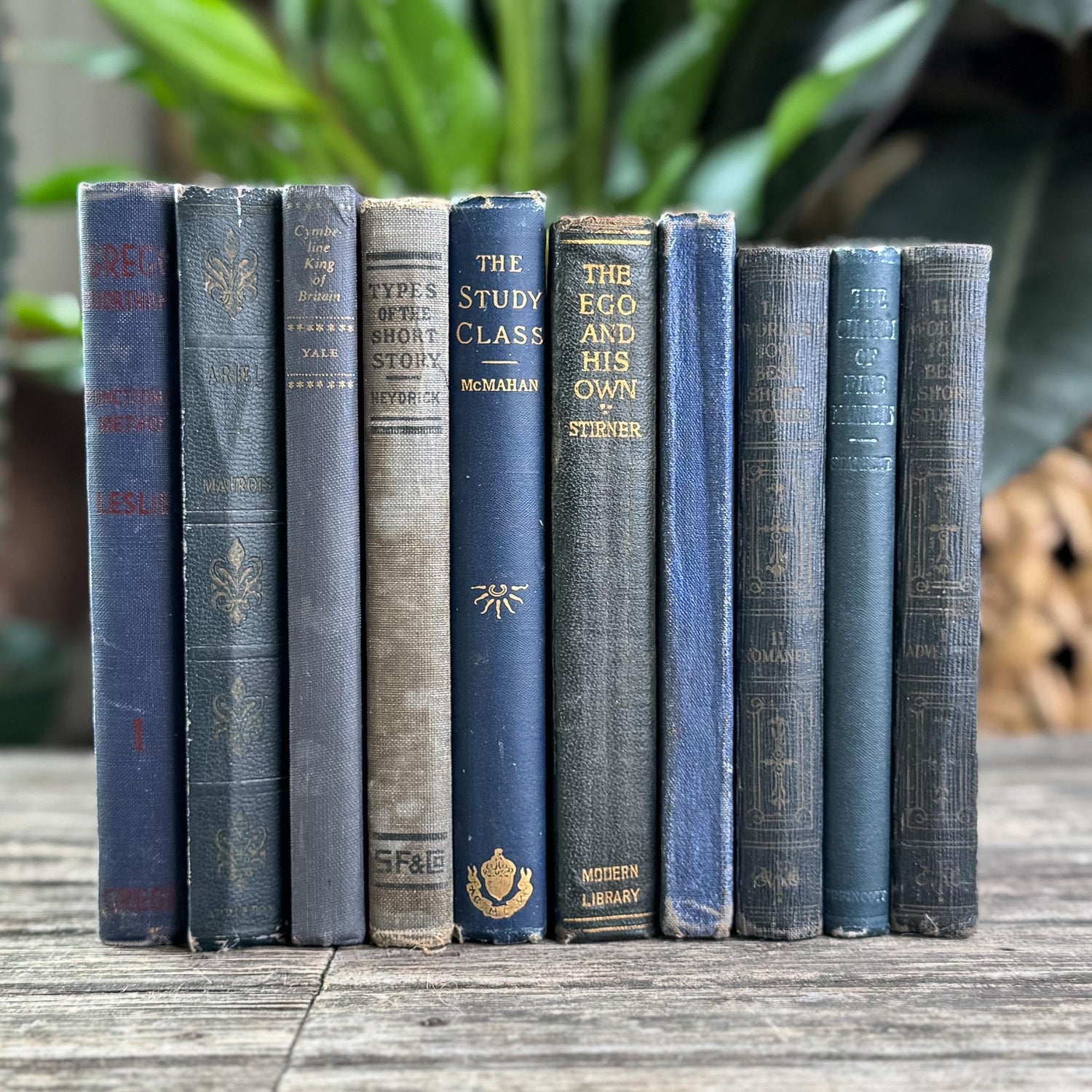 Antique Dark Blue Small Book Bundle of Literary & Academic Classics - Pretty Old Books