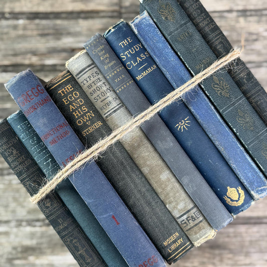 Antique Dark Blue Small Book Bundle of Literary & Academic Classics - Pretty Old Books