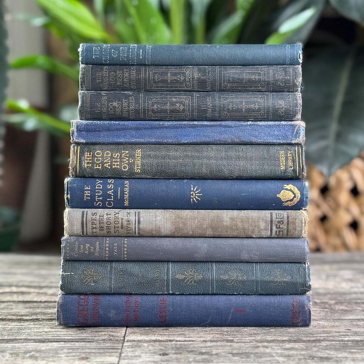 Antique Dark Blue Small Book Bundle of Literary & Academic Classics - Pretty Old Books