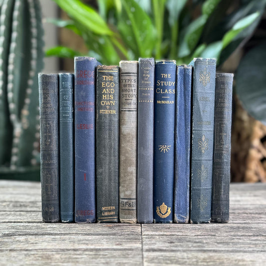 Antique Dark Blue Small Book Bundle of Literary & Academic Classics - Pretty Old Books