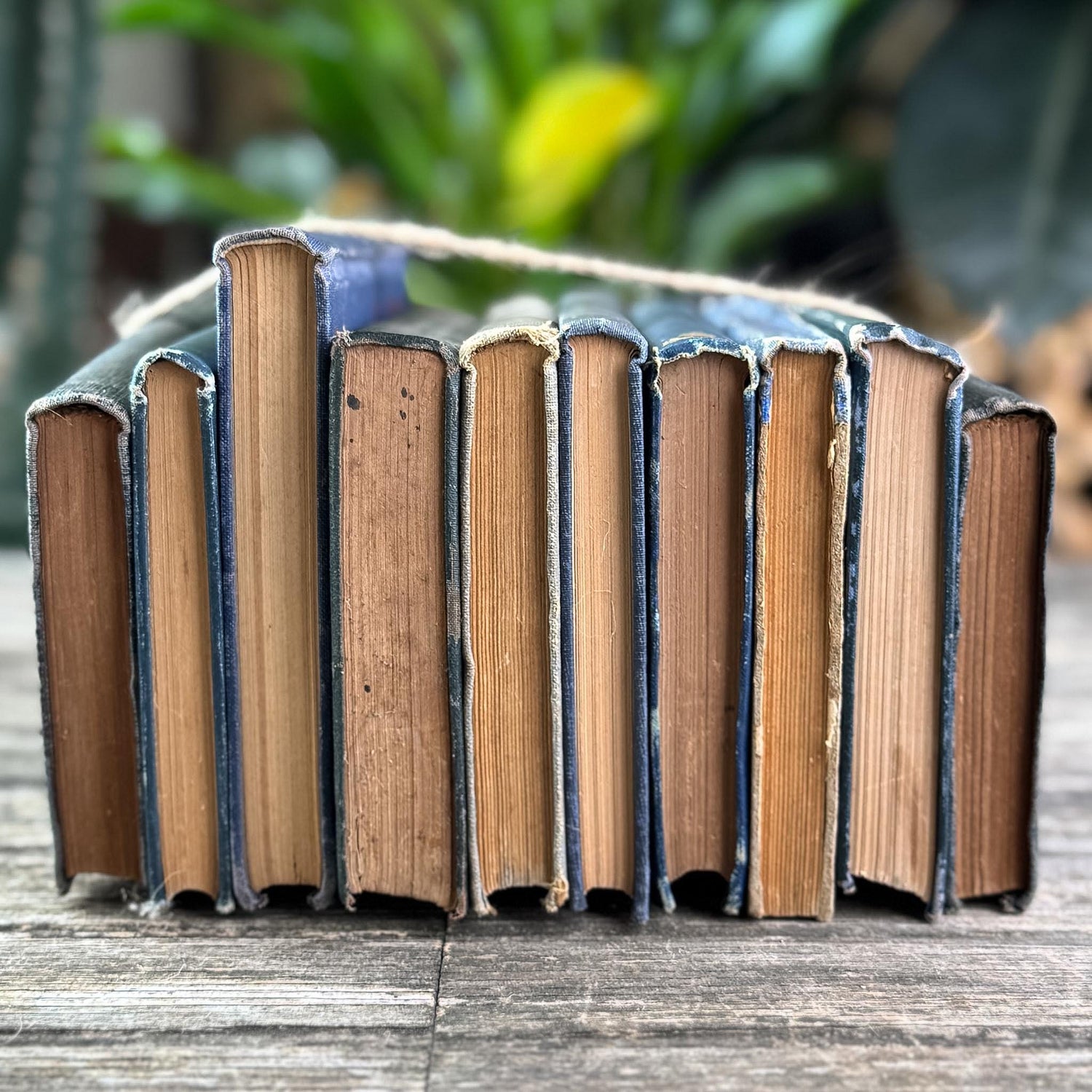 Antique Dark Blue Small Book Bundle of Literary & Academic Classics - Pretty Old Books