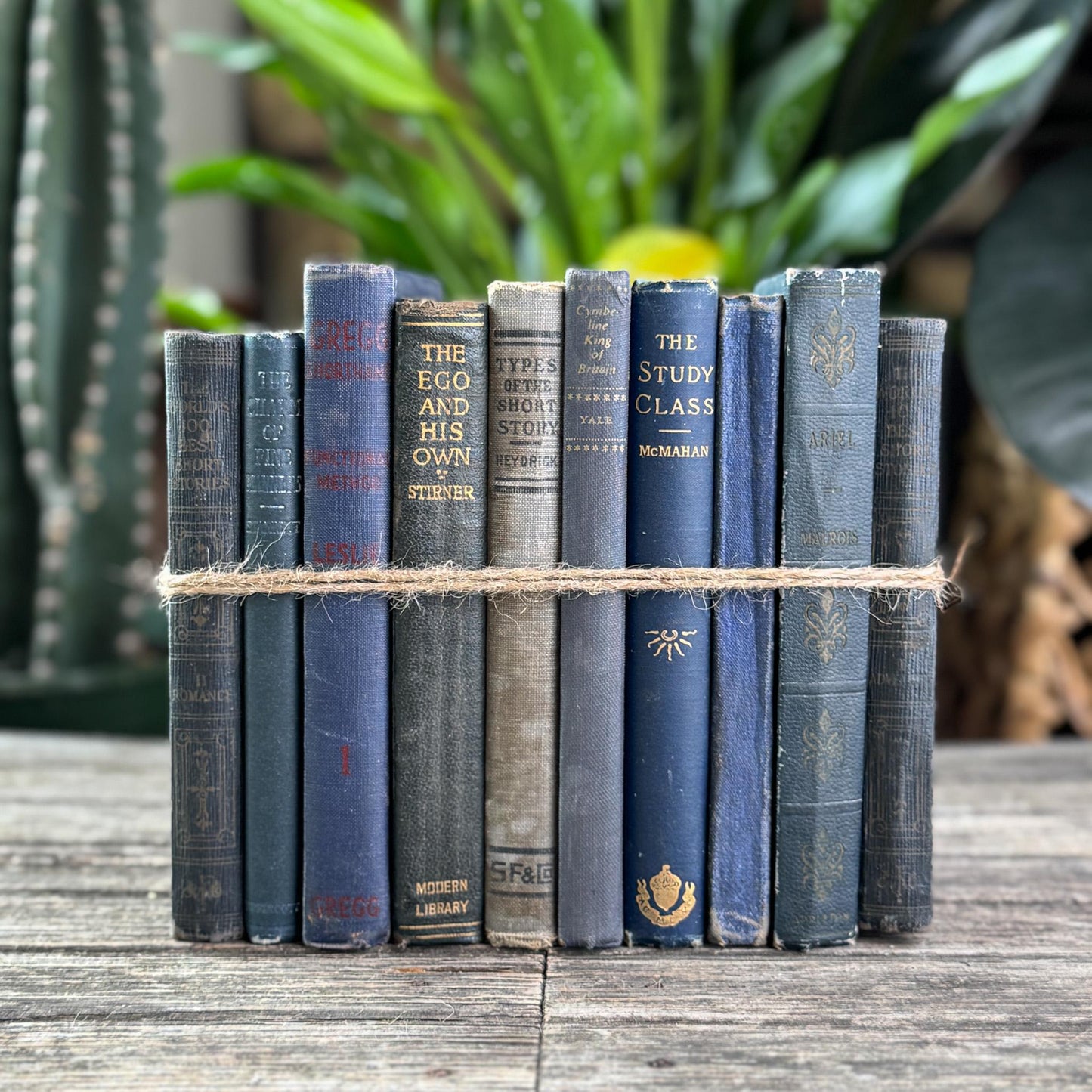 Antique Dark Blue Small Book Bundle of Literary & Academic Classics - Pretty Old Books