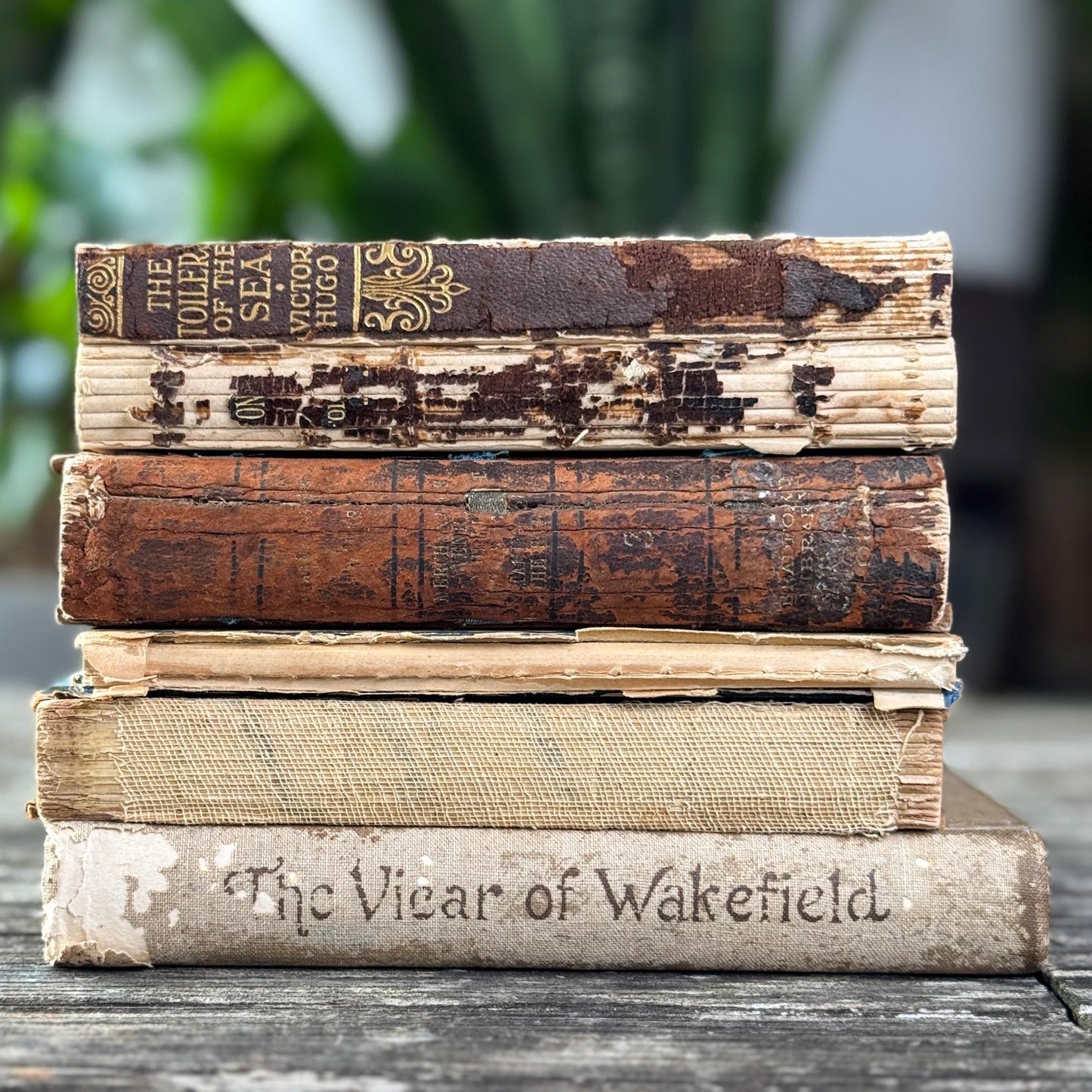 Antique Distressed Mini Book Set for Decor - Pretty Old Books