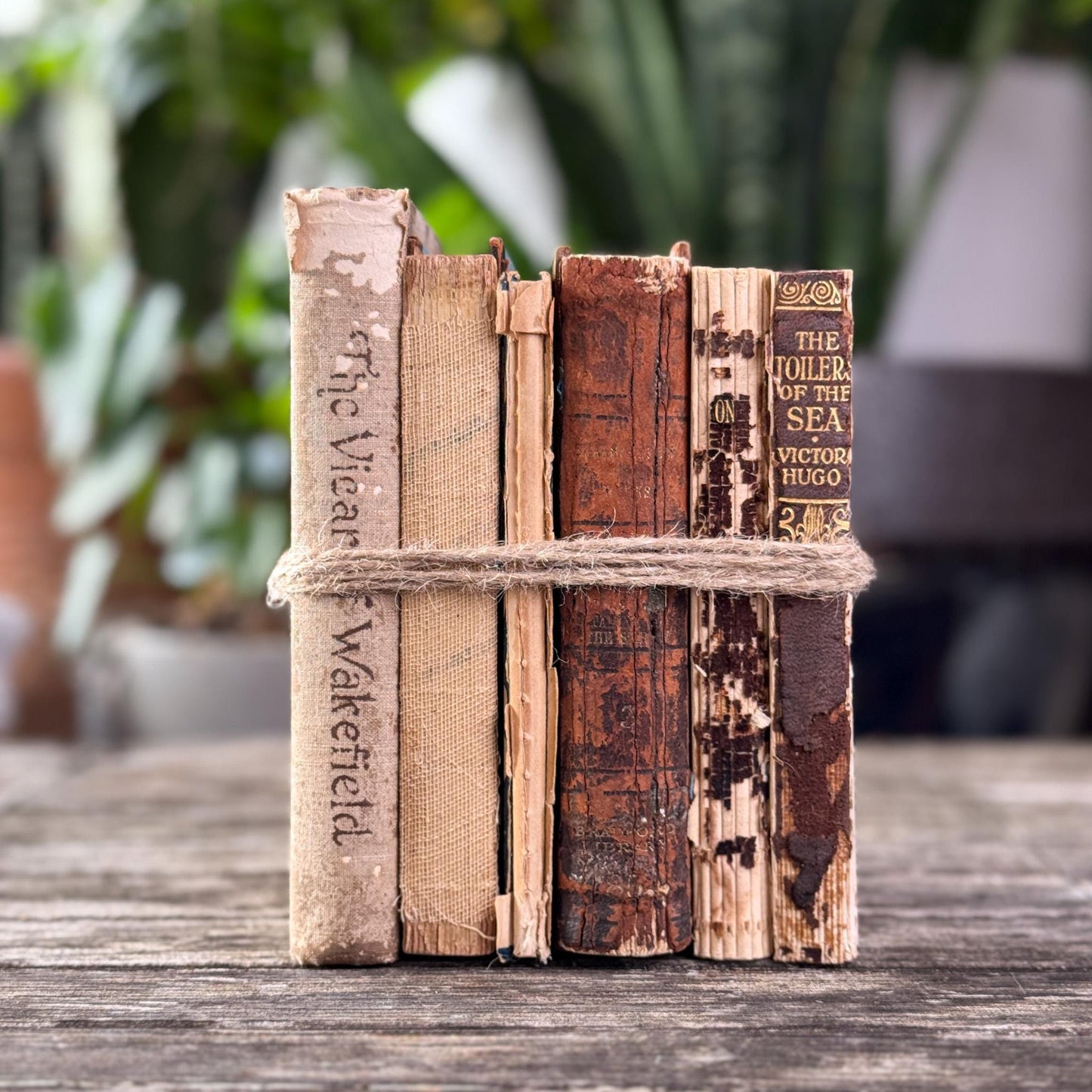 Antique Distressed Mini Book Set for Decor - Pretty Old Books