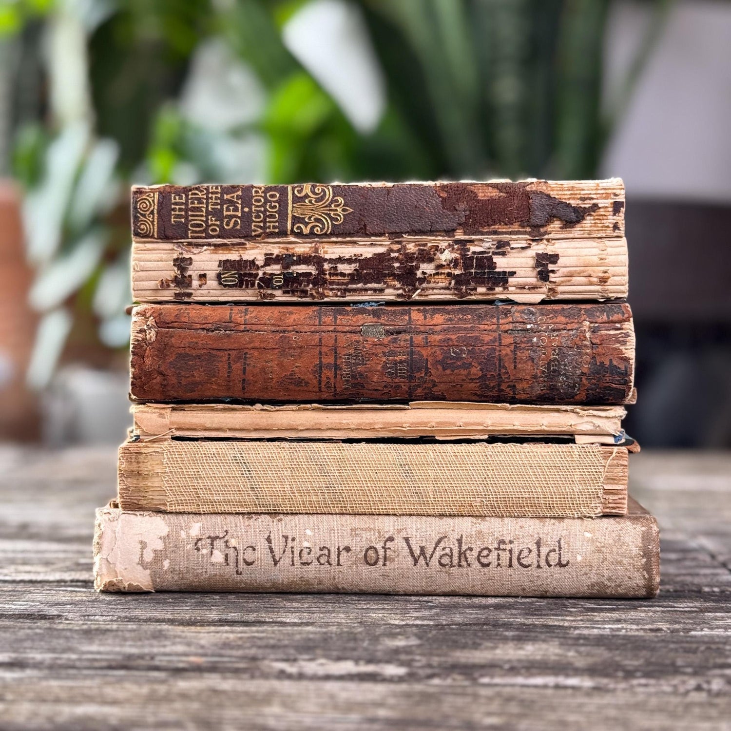 Antique Distressed Mini Book Set for Decor - Pretty Old Books