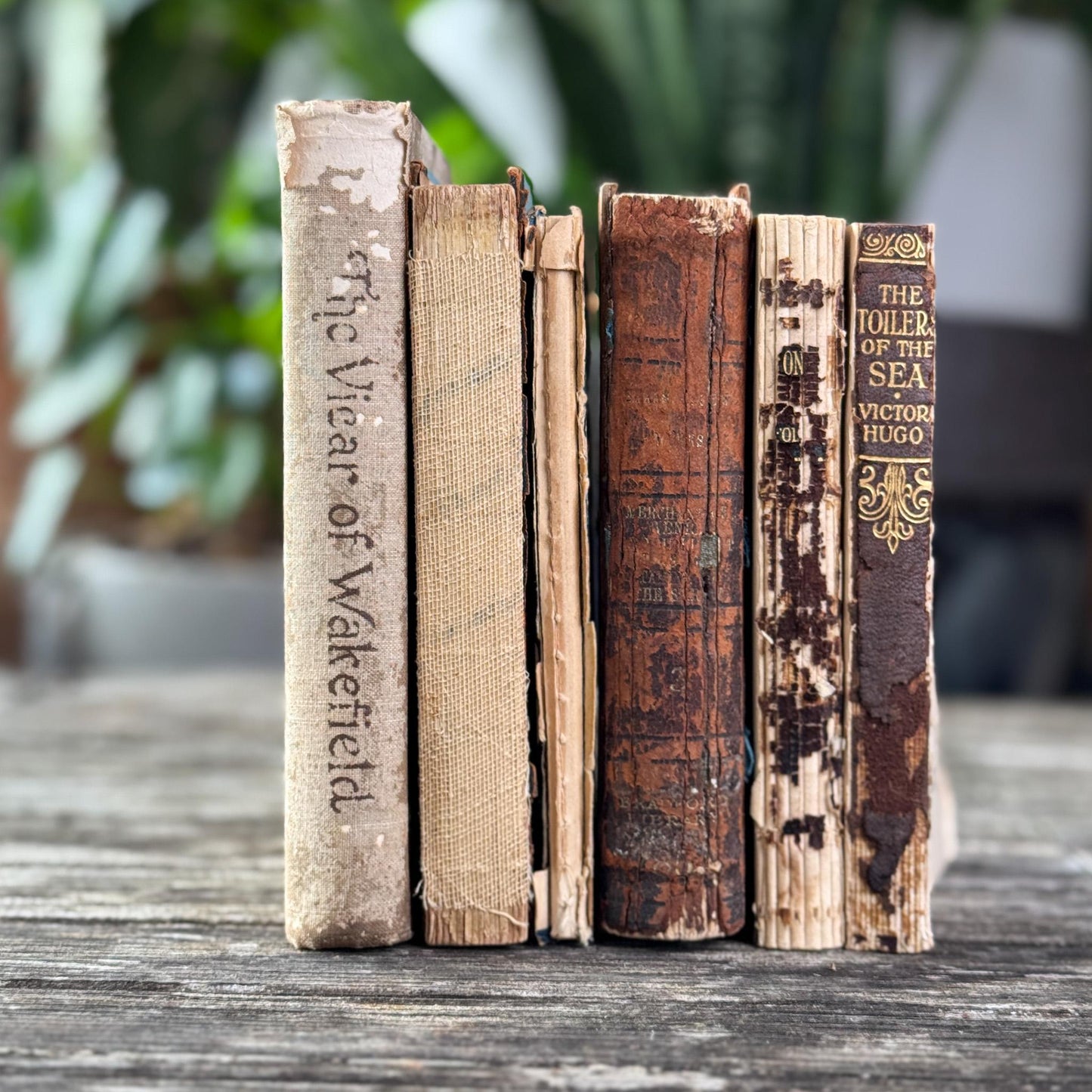 Antique Distressed Mini Book Set for Decor - Pretty Old Books