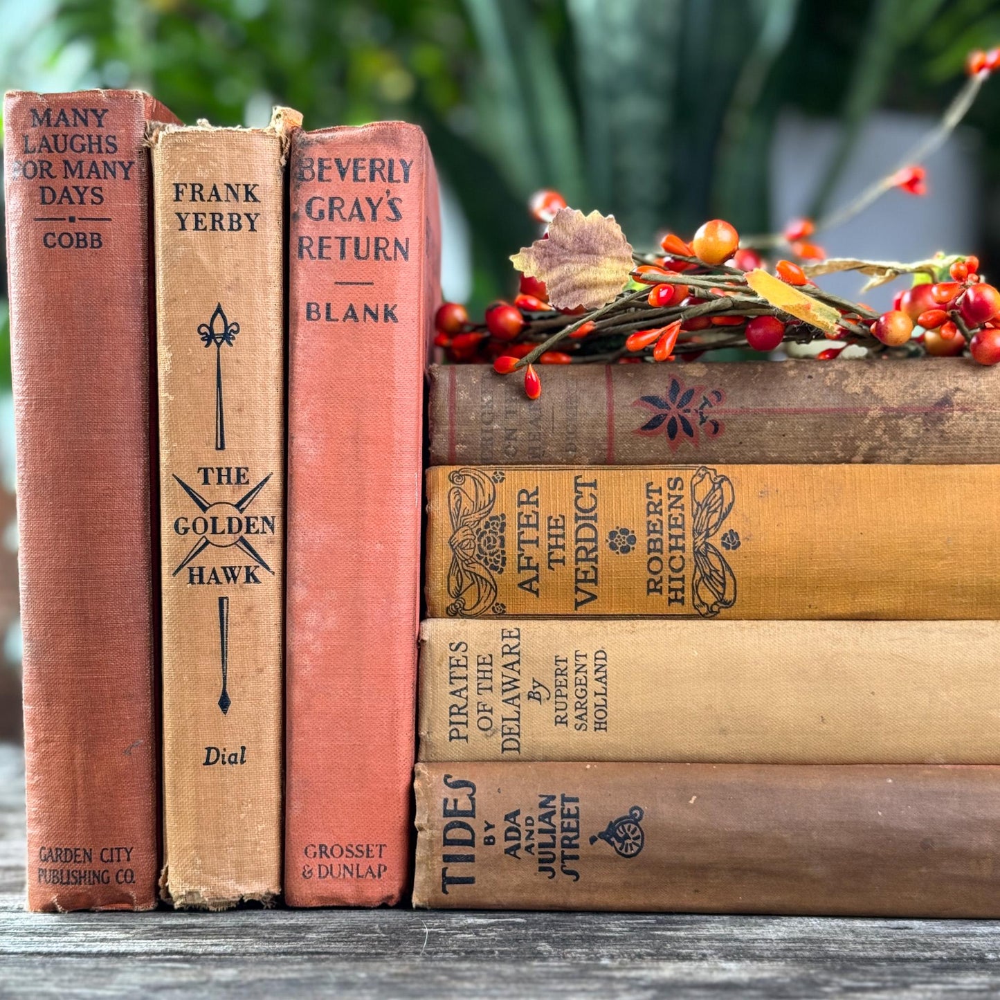 Antique Earth - Toned Book Set in Orange Red, Rust, Beige - Pretty Old Books