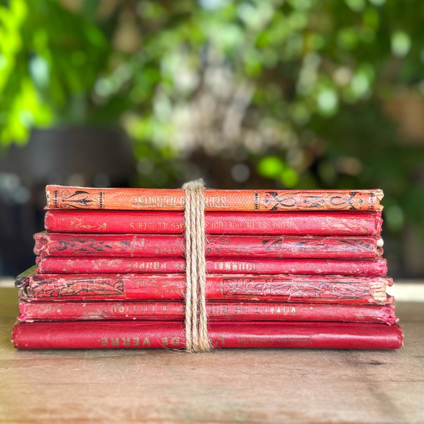Antique French Book Bundle, Art Nouveau Gilt and Black Covers, Children's Prize Books - Pretty Old Books