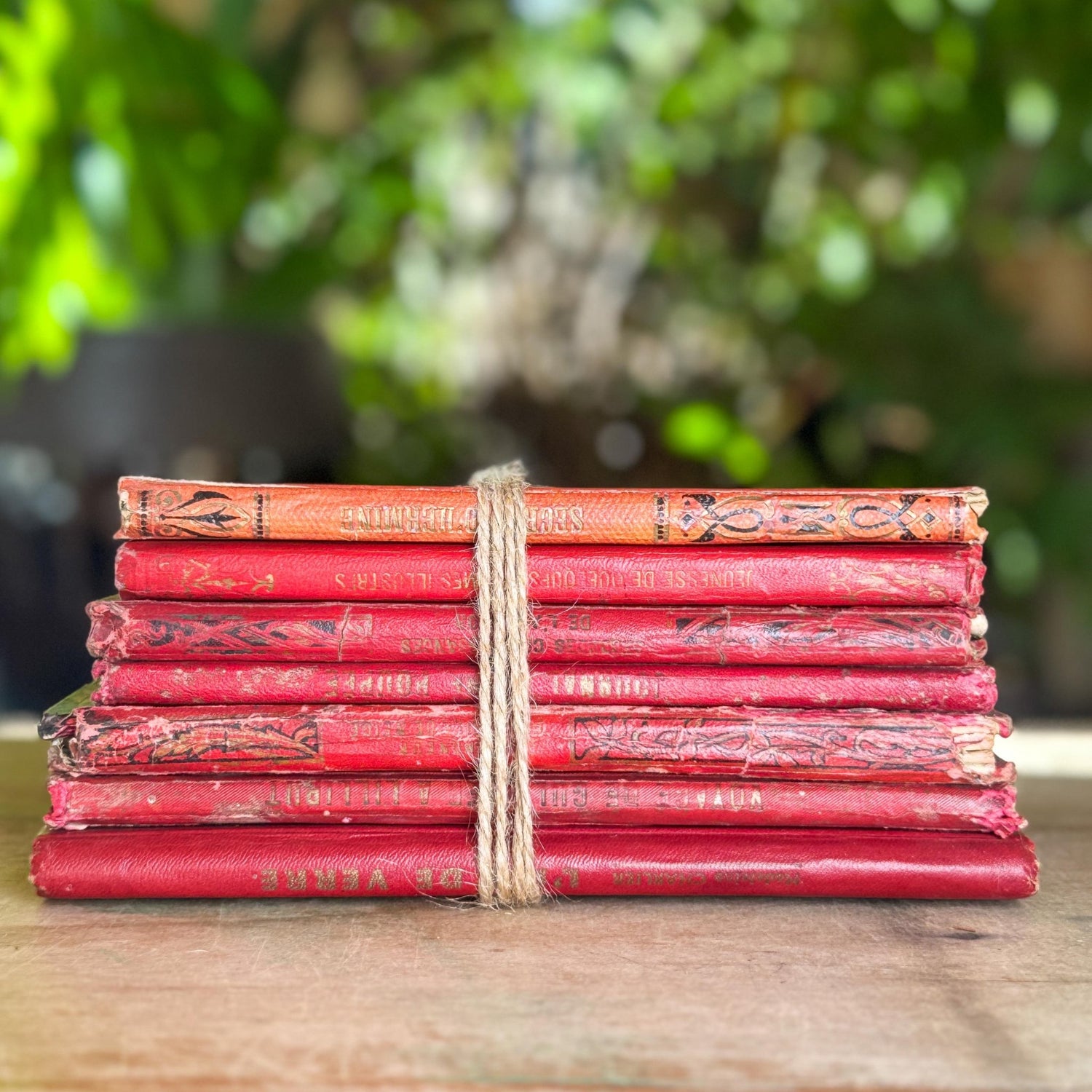Antique French Book Bundle, Art Nouveau Gilt and Black Covers, Children's Prize Books - Pretty Old Books