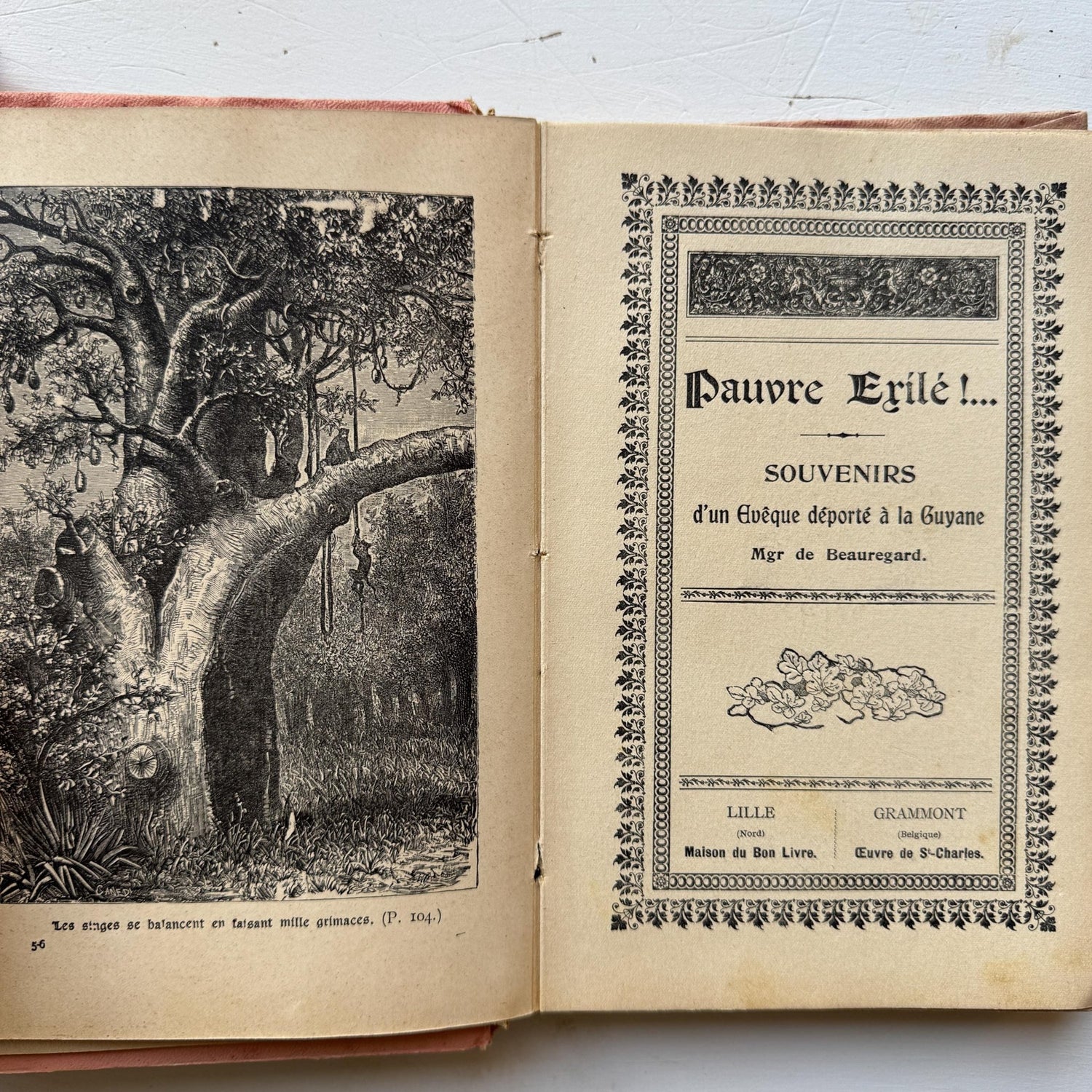 Antique French Book Bundle in Pink, Purple, and Faded Red With Floral Covers - Pretty Old Books